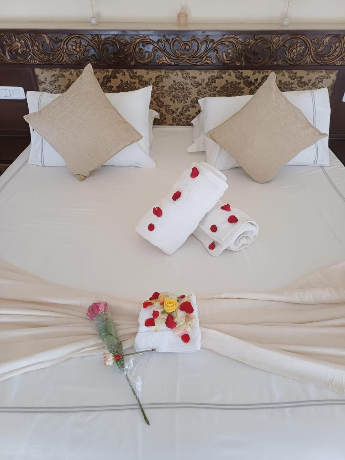 Bed & Breakfast Tunisienne *
